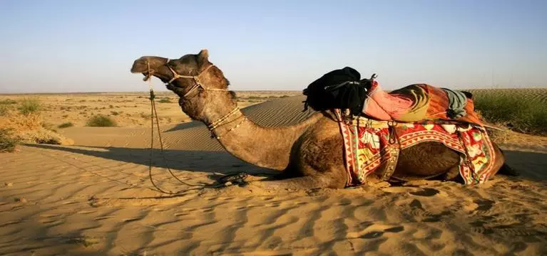 Buch Tour in Indien - Reise Indien Rajasthan